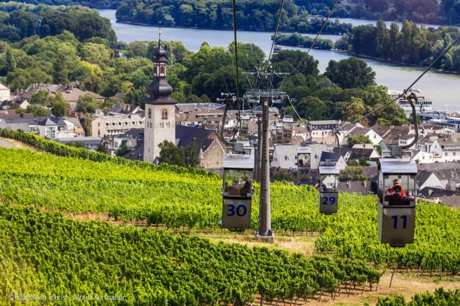 Vinbyen Rüdesheim og smuk udsigt ud over vinmarkerne