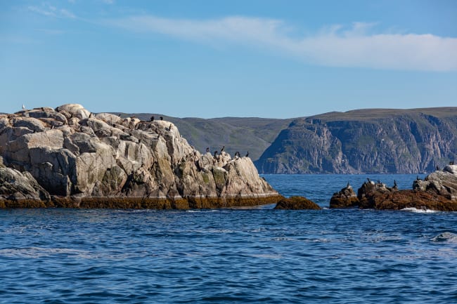 Fuglefjeldstur og Honningsvåg