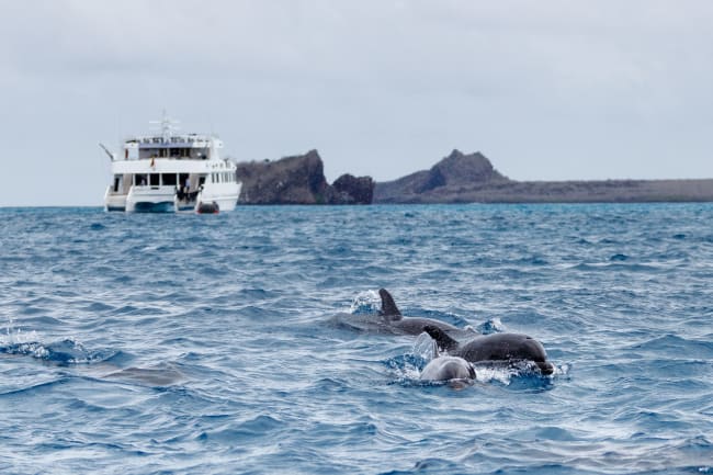 Sejltur langs kysten