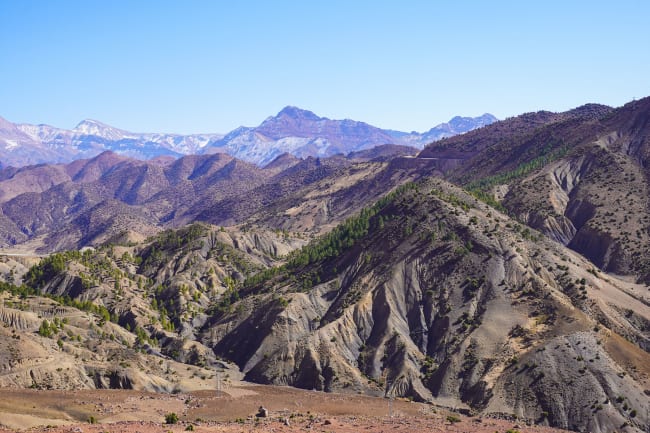 Udflugt til Atlasbjergene og besøg i Anima Garden