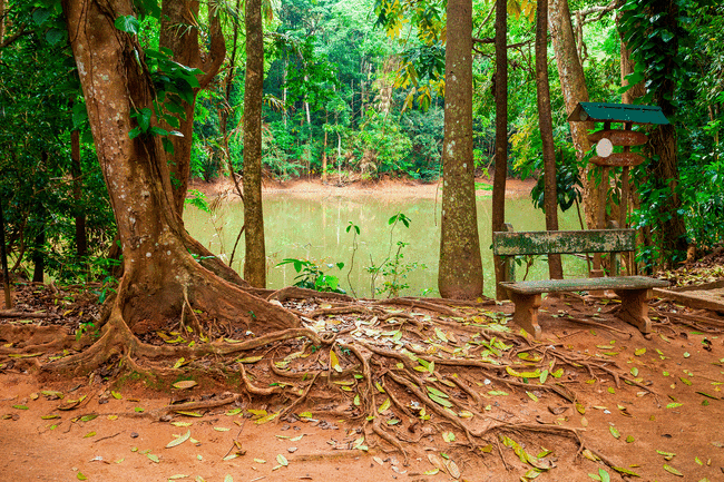 Vandretur i Udawatta Kele og Botanisk Have