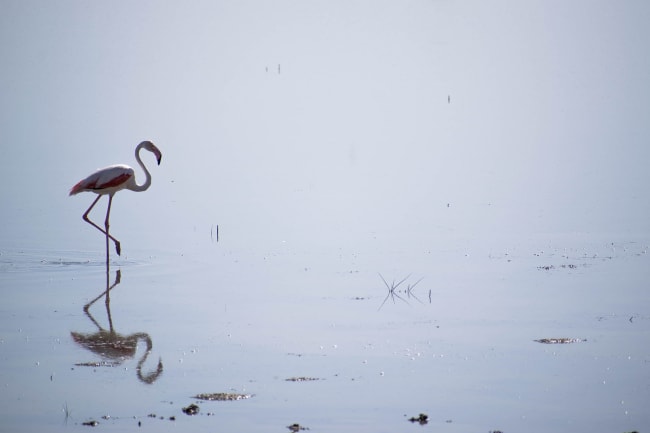 Sevilla til fods og sejlads til Cadiz