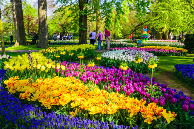 Keukenhof - heldagsudflugt