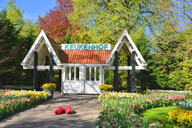 Keukenhof - heldagstur