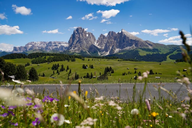 Udflugt til Canali-dalen