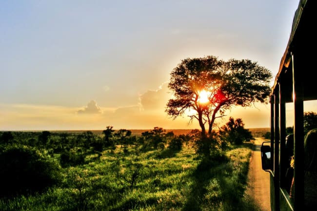 Safarieventyr og afslapning med All Inclusive på lodgen