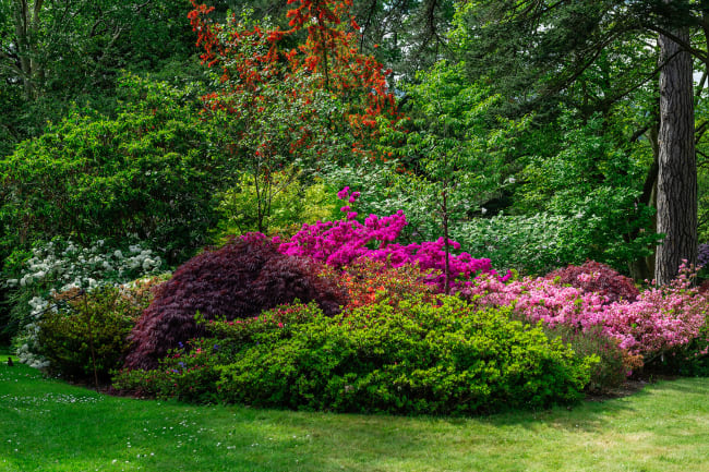 National Botanic Garden of Wales, frilandsmuseum og Cardiff