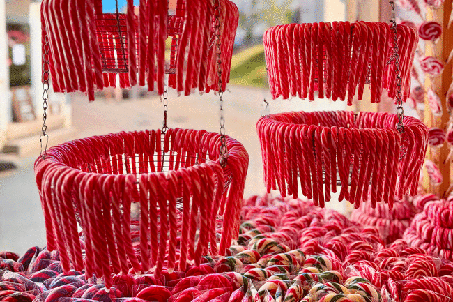 Vätternsøen – Polka-grise i Gränna – Jönkjöbing