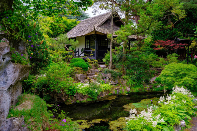 National Stud og f�rehyrder