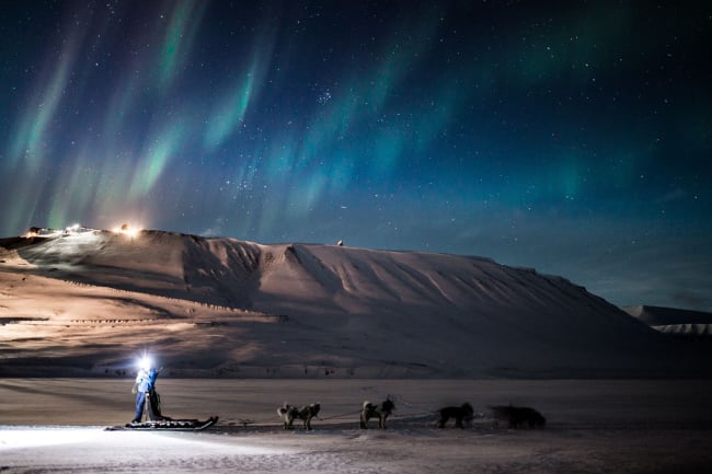 Nordlyssafari med hundesl�de