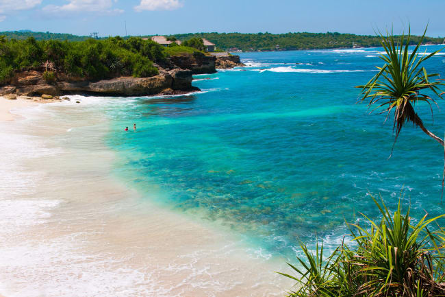 Mangrovesejltur, autentisk frokost og snorkling ved Lembongan