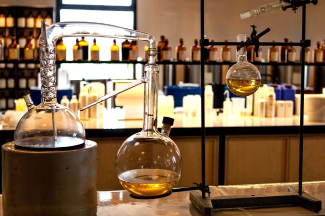 Udflugt til filmbyen Cannes og parfumebyen Grasse