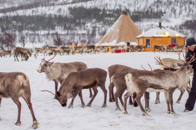 Tid på egen hånd og samisk kultur