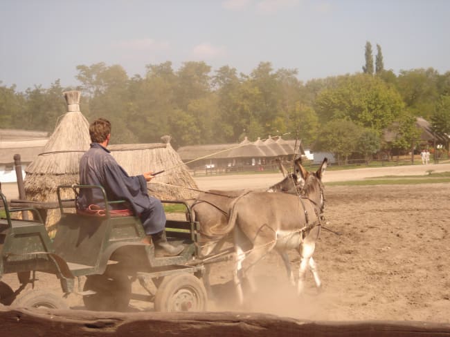 Kalocsa, Pusztaen og Budapest