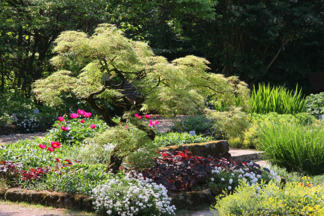 Fremtidsmuseum og den botaniske have Gugl