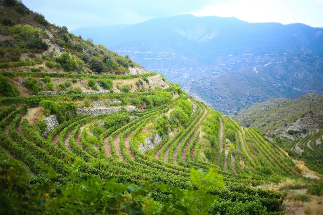 UNESCO-kirker og vin