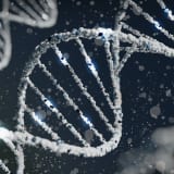 Photo of DNA by Sangharsh Lohakare on Unsplash