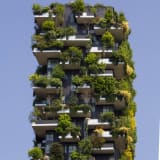 Photo of trees growing on the outside of a high-rise building by Victor on Unsplash