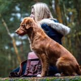 Photo of a woman sitting next to a tan dog by Jamie Street on Unsplash