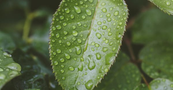 What is ESG and why is it important for business?