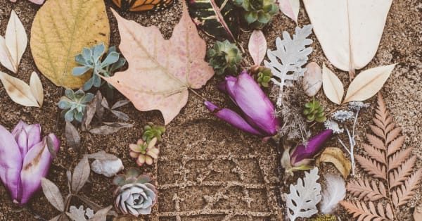 10 Simple Ways Your Business Can Reduce Its Carbon Footprint