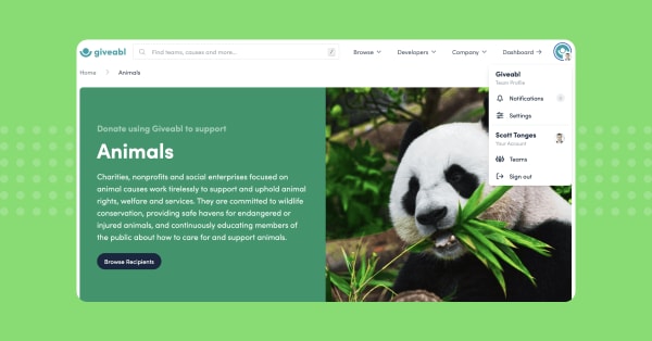 Changelog: Browse the website as a team