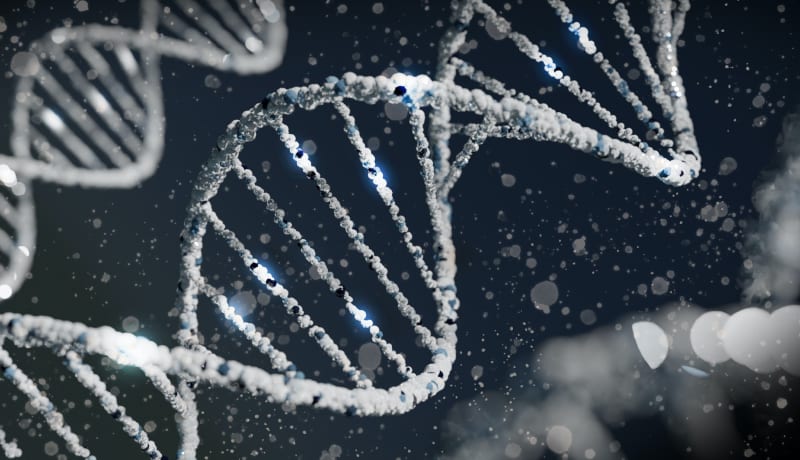 Photo of DNA by Sangharsh Lohakare on Unsplash