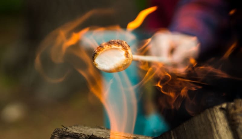 Photo of a marshmallow roasting on a stick by Hanna Morris on Unsplash