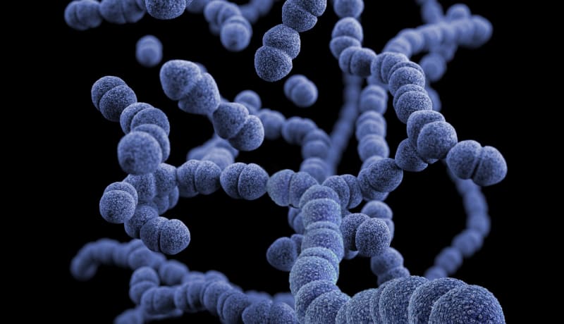Photo of a three-dimensional (3D), computer-generated image, of a group of Gram-positive, Streptococcus pneumoniae bacteria by CDC on Unsplash