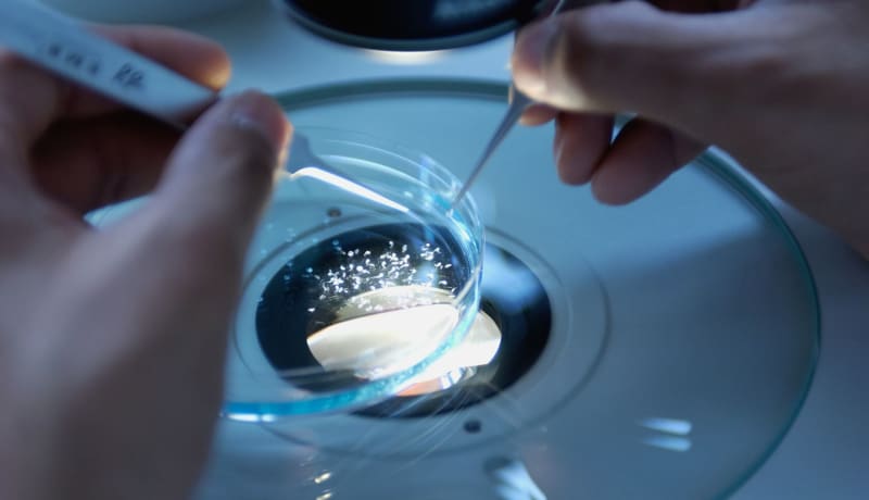 Photo of scientist and petrie dish by National Cancer Institute on Unsplash