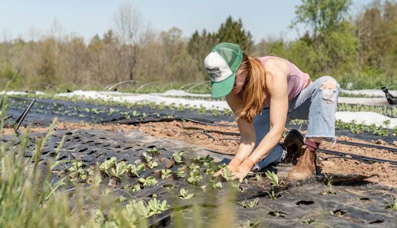 Photo of a woman planting spring transplants by Zoe Schaeffer on Unsplash
