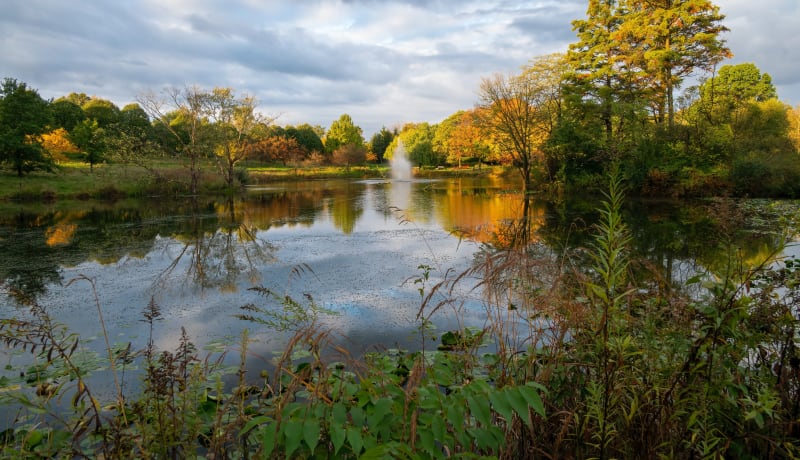 Photo of a lake with water fountain at Toledo Botanical Gardens by Cathy Holewinski on Unsplash