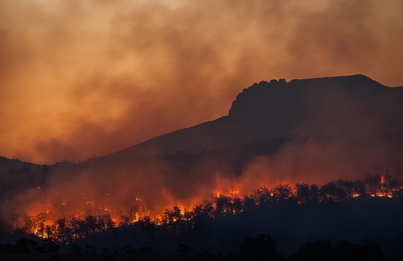 Photo of a bush fire by Matt Palmer on Unsplash
