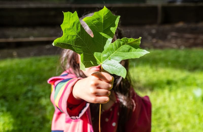 Photo of a girl holding a leaf by Alan Rodriguez on Unsplash