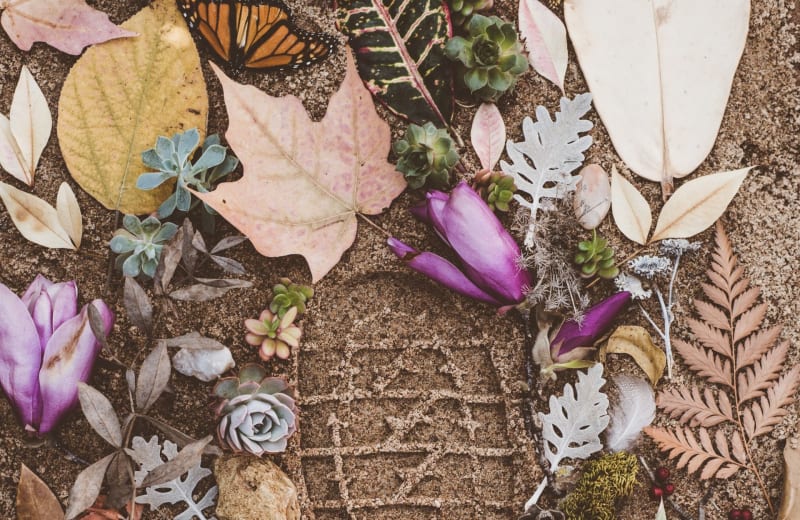 Photo of footprint with flowers around it by Evie S. on Unsplash