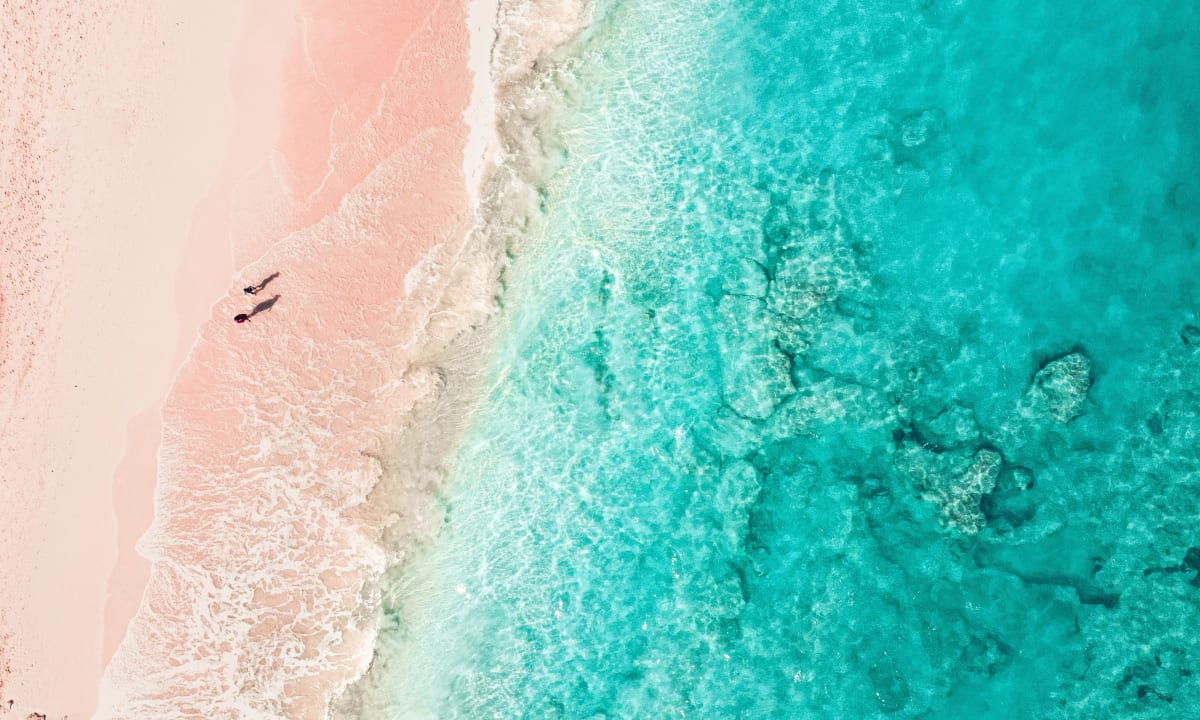 An aerial photo of Elbow Beach, Bermuda by Reilly Durfy on Unsplash
