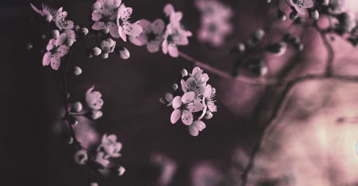 Shared content to attract more students for less famous companies