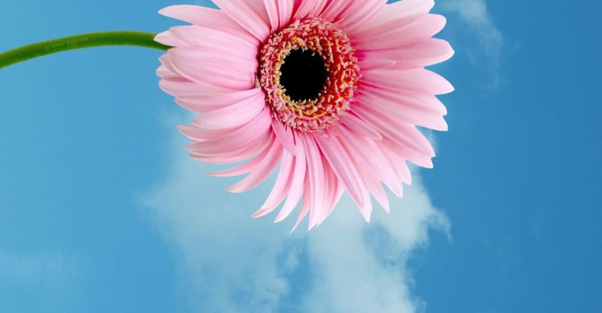 Content from template: July 13