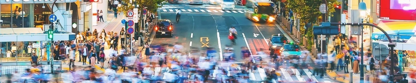 トランスコスモス株式会社 Track Job