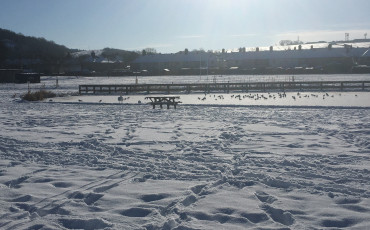 100 mile Step Challenge Isabel