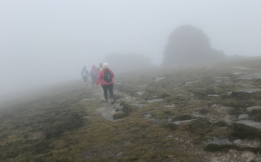 Jacquelinesmournechallenge