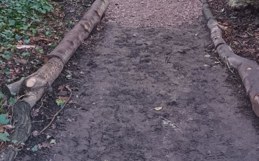 Help us improve CREOS paths
