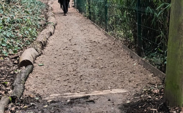 Help us improve CREOS paths