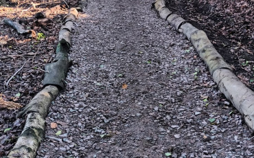 Help us improve CREOS paths