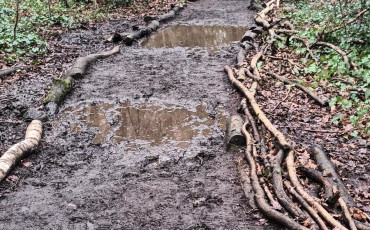 Help us improve CREOS paths