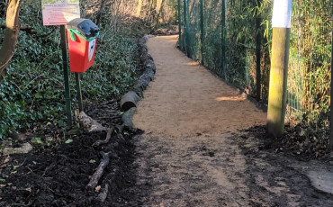 Help us improve CREOS paths