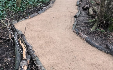 Help us improve CREOS paths
