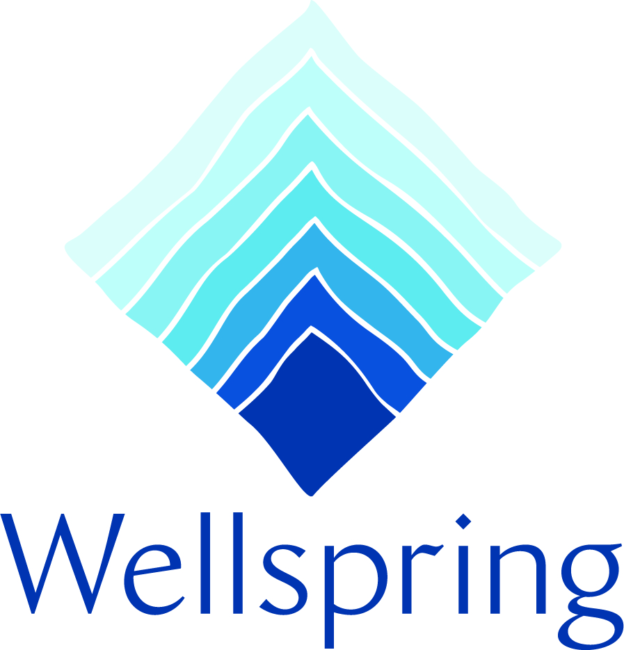 Wellspring Project (formerly the Mikveh Project UK)
