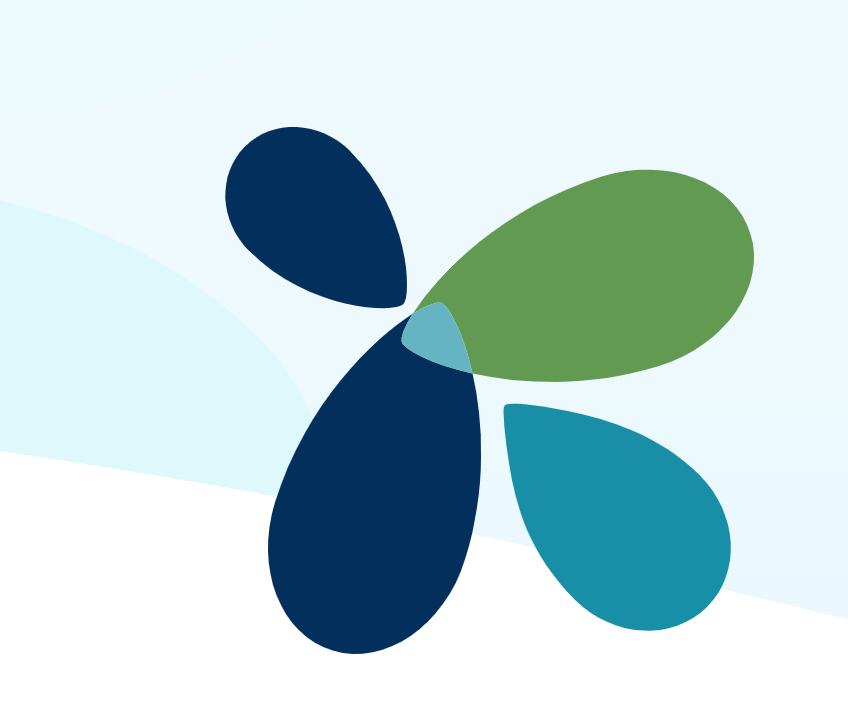 The Family Place Foundation