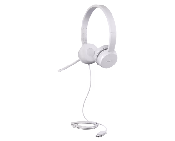LENOVO 110 STEREO USB HEAHSET - GXD1E71385